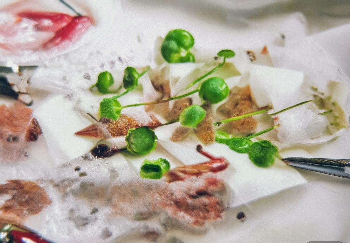 76人队&奇才队球衣退役仪式：篮球传奇传承盛典(图4)